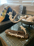 Galatea over Imported California driftwood